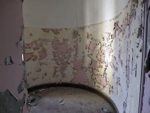 DSCF8501